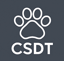 Colorado Springs Dog Training Hub